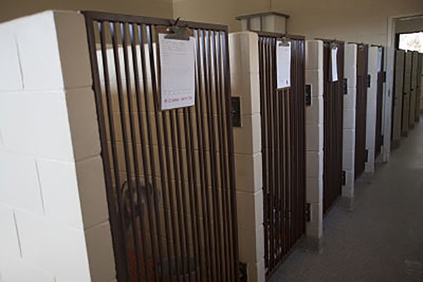 Small Kennels at Veterinary Medicine and Surgery