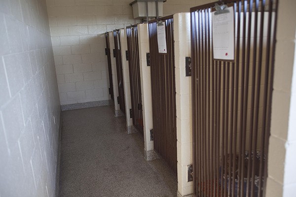 Large Kennels at Veterinary Medicine and Surgery