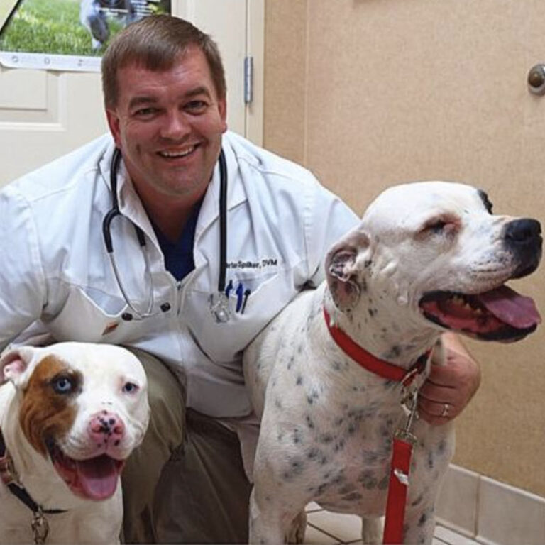 Dr. Brian Spilker, Owner and Head Veterinary Doctor at Veterinary Medicine and Surgery